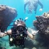 Beginner Scuba Diving Adventure with Videos in Honolulu
