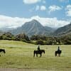 Kualoa Ranch - Horseback Walking Tour
