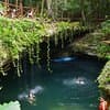 Cancun: Discover the Hidden Treasures: Exploring 3 Jungle Cenotes