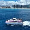 Waikiki Sunset Whale Watching Cruise Guaranteed Whale Sightings.