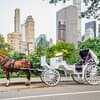 Private NYC Central Park Horse Carriage Ride (Guided) Since 1965™