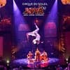 Cirque du Soleil JOYÀ Admission Tickets