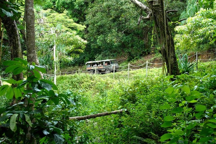 Kualoa Ranch: Jungle Expedition Tour 