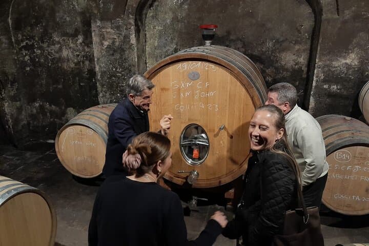 Priorat tour to 3 small wineries and hotel pick-up