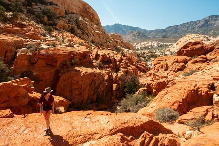 The “As Seen on TV” Panoramic Red Rock Canyon Scenic Loop Tour